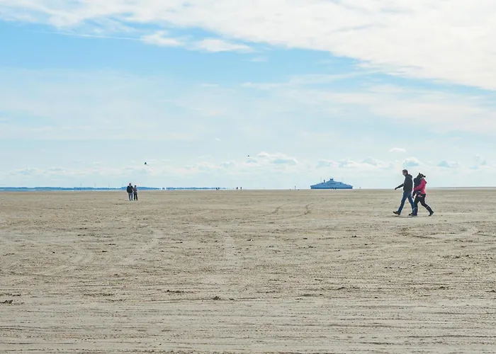 Beautiful In With Kitchen *